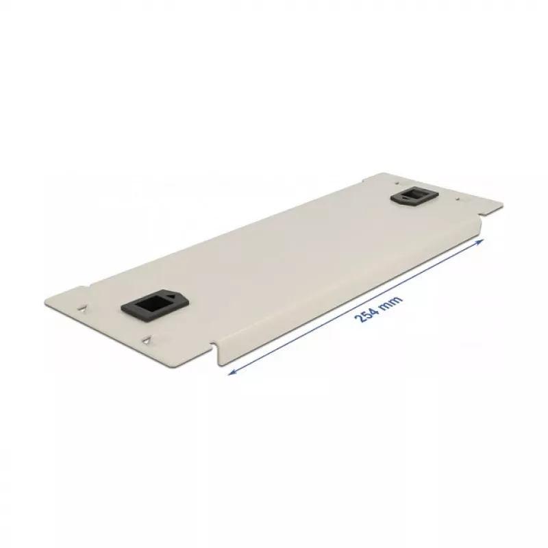 Blind panel DeLOCK 10 inch võrk Cabinet 66631