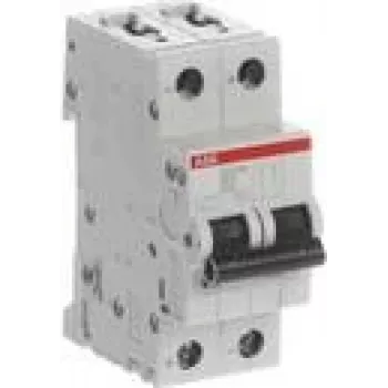 ABB STOTZ-KONTAKT Circuit Breaker 10kA 6A B 2p S202M-B6UC (2CDS272061R0065)