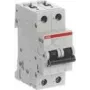 ABB STOTZ-KONTAKT Circuit Breaker 10kA 6A B 2p S202M-B6UC (2CDS272061R0065)