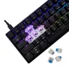 Mehaaniline klaviatuur White Shark Shinobi-2 Blue Switch Must US layout