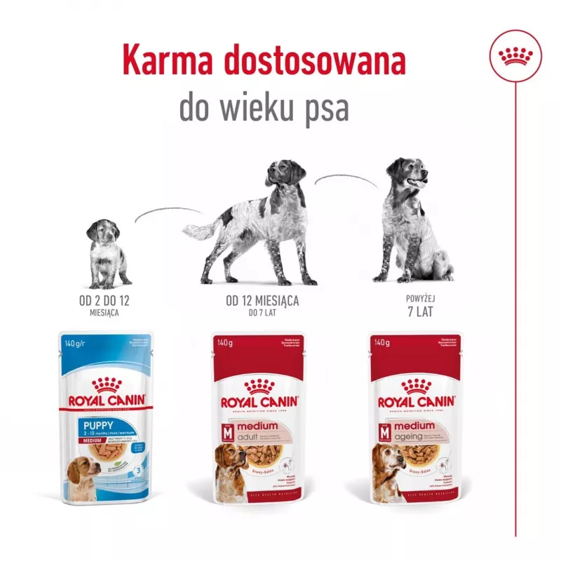 ROYAL CANIN SHN Medium Adult kastmes - märgtoit täiskasvanud koertele - 10x140g