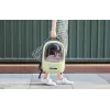 Lemmikloomade reisikott PetKit Breezy 2 (roheline)