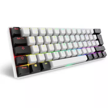 Sharkoon SGK50 S4 klaviatuur Kodu USB QWERTZ Saksa Valge RGB LED 60%