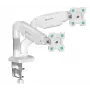 Seinakinnitus ONKRON G160-W 13–32-tollistele monitoridele, valge, fikseeritud kaldega, VESA 75x75–100x100