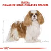 Kuiv koeratoit Royal Canin Cavalier King Charles Adult 1.5 kg — Kana, Väikest tõugu, Nahk ja karv, Südame tugi