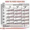 Konserveeritud veterinaardieet Royal Canin Gastro Intestinal 200 g — täiskasvanud koerad, linnuliha, seedimise toetamine