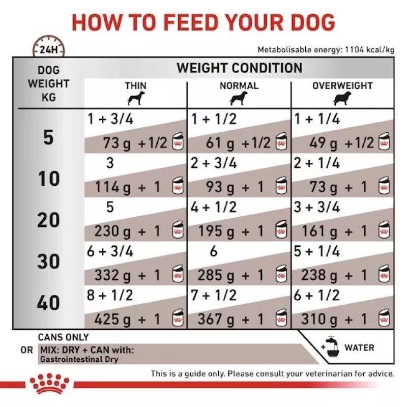 Konserveeritud veterinaardieet Royal Canin Gastro Intestinal 200 g — täiskasvanud koerad, linnuliha, seedimise toetamine