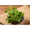 Watercress Toraf köögiviljaseemned, 0,2 g pakend