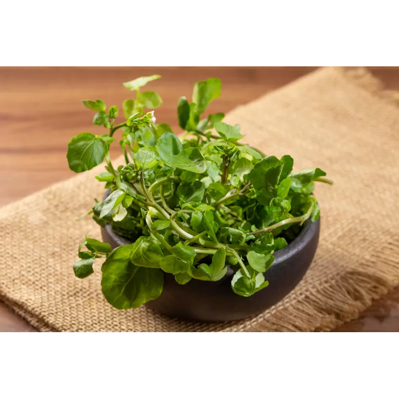 Watercress Toraf köögiviljaseemned, 0,2 g pakend