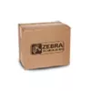 Zebra P1046696-099 prindipea