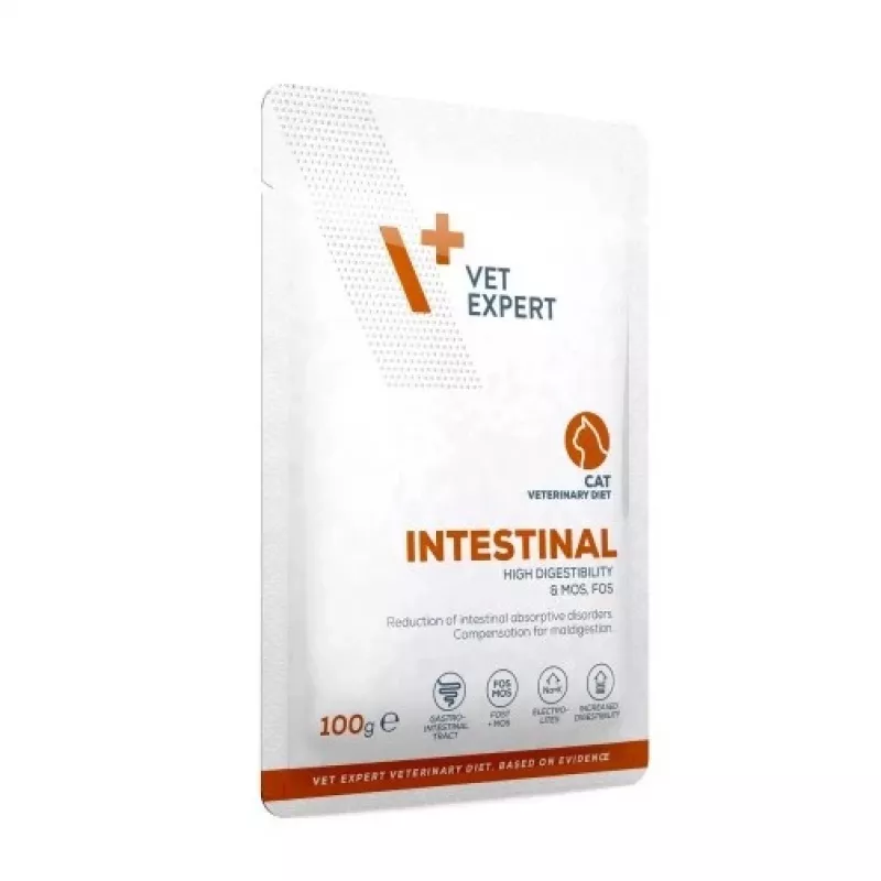 VetExpert Veterinary Diet Intestinal märg kassitoit 100 g