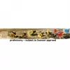 Carrera RC - CAT Micro - Advendikalender 37085970 (37085970)