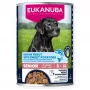 Koeratoit Eukanuba EUK DOG CAN LC SR AB TRUT&SWPT 400g