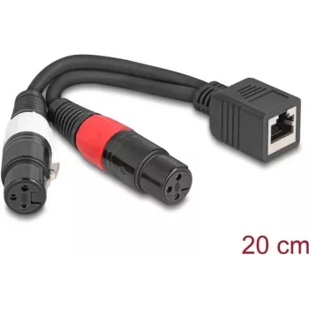 DeLOCK 88178 helikaabel 0,2 m RJ-45 2 x XLR (3-kontaktiline) Must