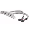 Pilupesa kaabel USB 2.0 HighSpeed tüüp 2xIDC (5pin)/4xUSB A M/F hall 0,25 m