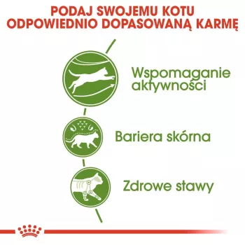 Royal Canin Outdoor kuiv kassitoit 2 kg