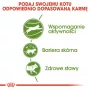 Royal Canin Outdoor kuiv kassitoit 2 kg