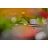 Liitmuhv Gardena L-liitmik Tilguti niisutussüsteem Plastik