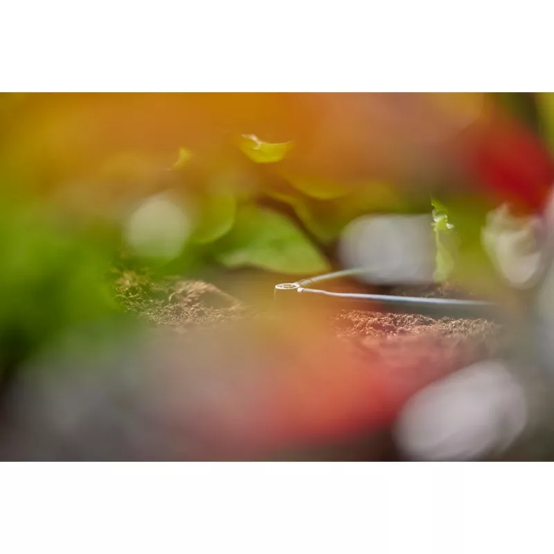 Liitmuhv Gardena L-liitmik Tilguti niisutussüsteem Plastik