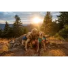 Ruffwear Front Range XS sinine polüester