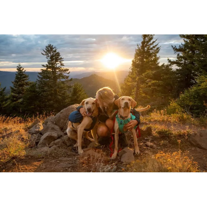 Ruffwear Front Range XS sinine polüester