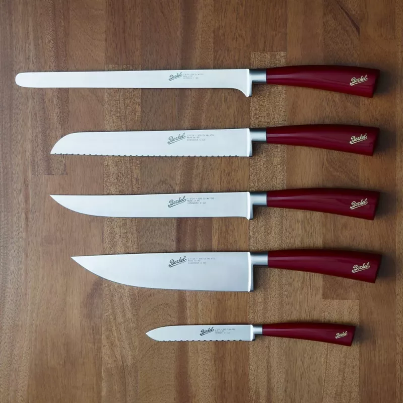 Kööginoa komplekt Berkel ELEGANCE roostevaba teras 5 tk