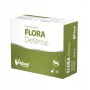VetFood Flora Defense probiootikum koertele ja kassidele 30 kapslit