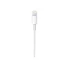 Apple USB-C to Lightning kaabel (1 m)