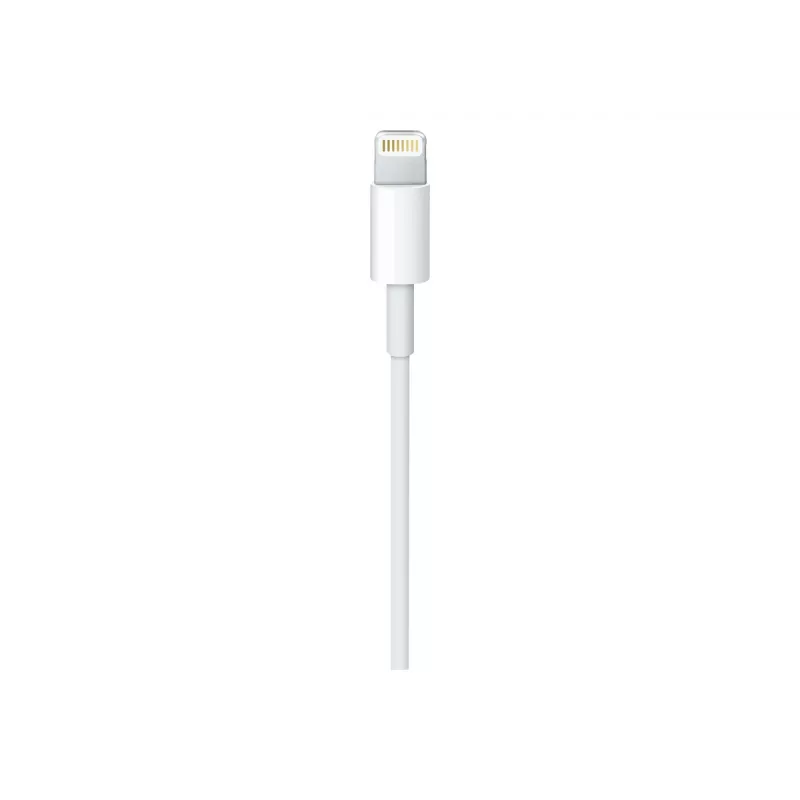 Apple USB-C to Lightning kaabel (1 m)