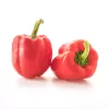 Seemnesegu Seklos LT PNOS — Magusa paprika seemned, pakendis 0,6 g