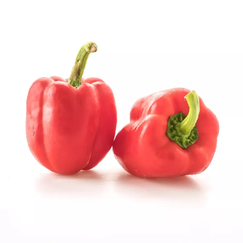 Seemnesegu Seklos LT PNOS — Magusa paprika seemned, pakendis 0,6 g