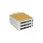 Fantec SNT-BA2131-2 - S-ATA 2x 13,30cm (5,25) for 3x1 HDD beež (2007)