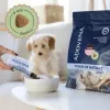 ADDVENA Power of Nature Junior Small Lamb - kuiv koeratoit - 2,5 kg