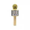 Mikrofon MANTA MIC10-G Gold kardioidne kaasaskantav — kardioidne kondensaator, pihuformaadis