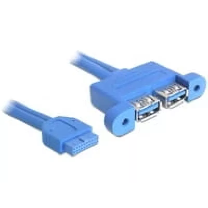 USB-kaabel DeLOCK 82941 USB 3.2 Gen 1 0,45 m 2 x USB A Sinine