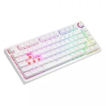 SAVIO PHENIX WHITE juhtmeta mehaaniline klaviatuur, Gateron Red Pro, ABS