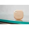 Nutinupp Shelly BLU Button Tough 1