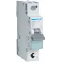 Hager MBS110. Nimivool: 10 A, vahelduvvoolu sisendsagedus: 50/60 Hz, nimiväljundvool: 10 A. Tüüp: B-tüüp, moodulite arv (max): 1 moodul(it). Laius: 17,5 mm, sügavus: 70 mm, kõrgus