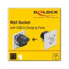 Pistikupesa 2 x USB + CEE 7/3 DeLOCK 11473