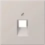 Jung Cover Plate lgr for IAE/UAE Socket LS 969-1 UA LG (LS969-1UALG)