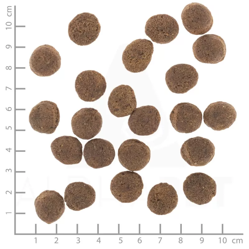 Kuiv koeratoit Wolfsblut VetLine Gastrointestinal Duck 2 kg — veterinaardieet seedimise toetamiseks, 20% valku, 10% rasva