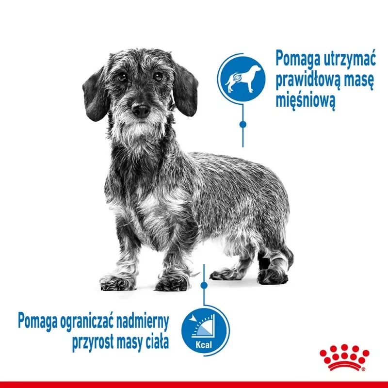 Royal Canin CCN MINI LIGHT WEIGHT CARE - kuivtoit täiskasvanud koertele - 3kg