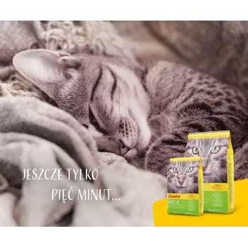 Kuiv kassitoit JOSERA SensiCat 10 kg — kana, 33% valku, 18% rasva, täiskasvanud kassidele tundliku seedimisega