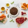 RAW PALEO Ultra Medium&Large Adult Beef - kuiv koeratoit - 10 kg