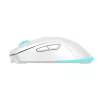 Baracuda BGM-122 Turtle valge hiir TURTLE-W