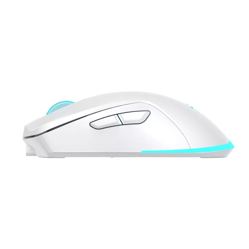 Baracuda BGM-122 Turtle valge hiir TURTLE-W