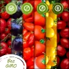 Toraf Tomato Seed Set Eden - 8 komplekti