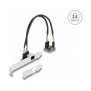 DeLOCK 95271 Sisemine võrgukaart 2500 Mbit/s Mini PCI Express