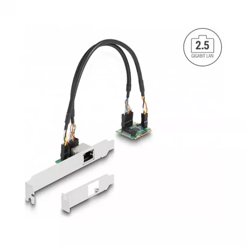 DeLOCK 95271 Sisemine võrgukaart 2500 Mbit/s Mini PCI Express