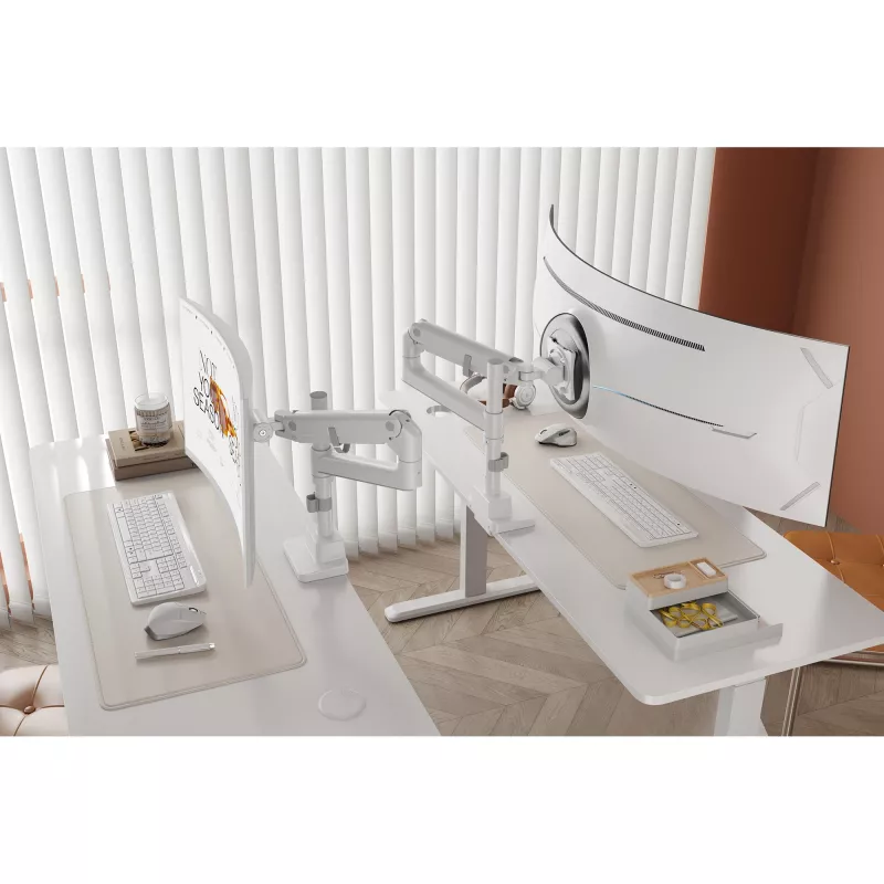 Monitor mount DIGITUS Single, clamp, 57 inch max, 27 kg capacity, VESA 75x75–100x100, Valge